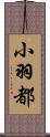 小羽都 Scroll
