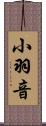 小羽音 Scroll