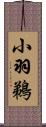 小羽鵜 Scroll