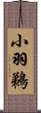 小羽鵜 Scroll