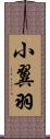 小翼羽 Scroll