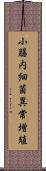 小腸内細菌異常増殖 Scroll