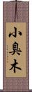 小臭木 Scroll