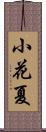 小花夏 Scroll