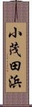 小茂田浜 Scroll