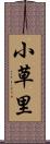 小草里 Scroll