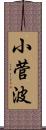 小菅波 Scroll