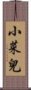 小菜兒 Scroll