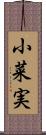 小菜実 Scroll