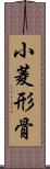 小菱形骨 Scroll