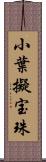 小葉擬宝珠 Scroll