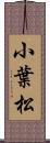 小葉松 Scroll