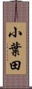 小葉田 Scroll