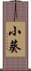 小葵 Scroll