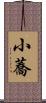 小蕎 Scroll