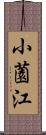 小薗江 Scroll