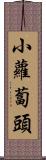 小蘿蔔頭 Scroll