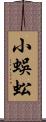 小蜈蚣 Scroll
