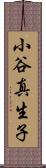 小谷真生子 Scroll