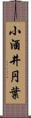 小酒井円葉 Scroll