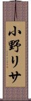 小野リサ Scroll