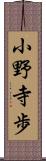 小野寺歩 Scroll