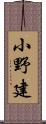 小野建 Scroll