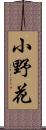 小野花 Scroll