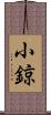 小鍄 Scroll