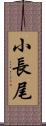 小長尾 Scroll