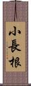 小長根 Scroll