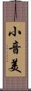 小音美 Scroll
