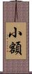 小額 Scroll