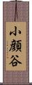 小顔谷 Scroll