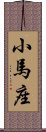 小馬座 Scroll