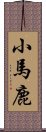小馬鹿 Scroll