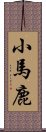 小馬鹿 Scroll