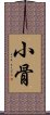 小骨 Scroll