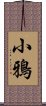 小鴉 Scroll