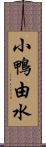 小鴨由水 Scroll