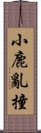 小鹿亂撞 Scroll