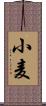 小麦 Scroll