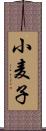 小麦子 Scroll