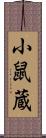 小鼠蔵 Scroll