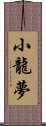 小龍夢 Scroll