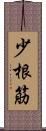 少根筋 Scroll