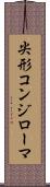 尖形コンジローマ Scroll