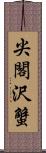 尖閣沢蟹 Scroll