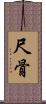 尺骨 Scroll
