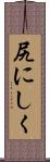 尻にしく Scroll